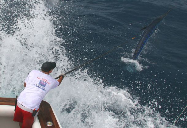 Game fishing club celebrates 50th year